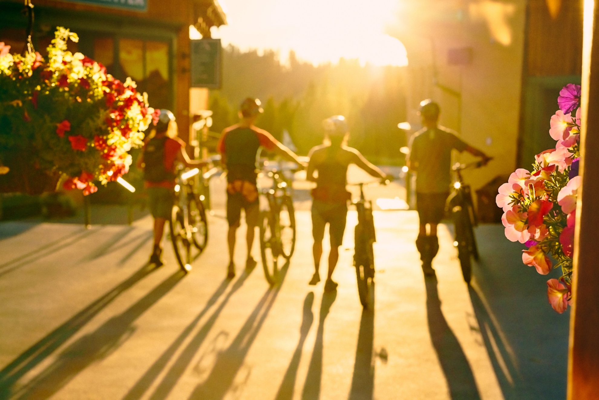 Picture of SUMMER 2025 BIKE PARK SEASON PASS