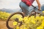 Picture of BIKE RENTALS